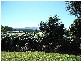 10 Jagera Drive, Bellingen NSW 2454