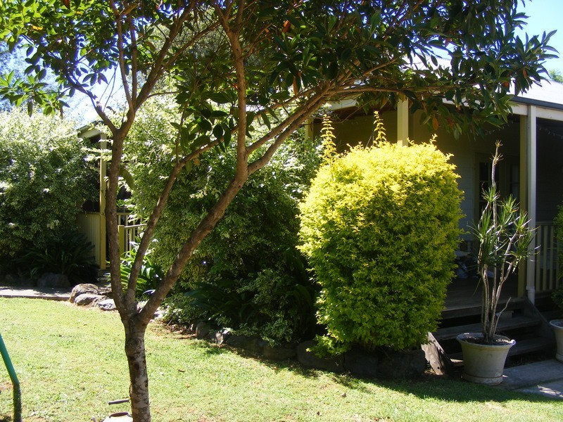 40  Dowle Street, Bellingen NSW 2454