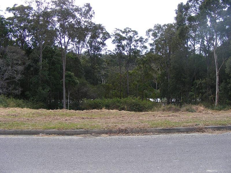 9 Alex Pike Dr, Raleigh NSW 2454