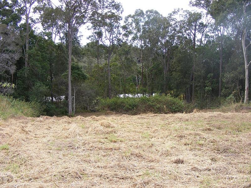 9 Alex Pike Dr, Raleigh NSW 2454