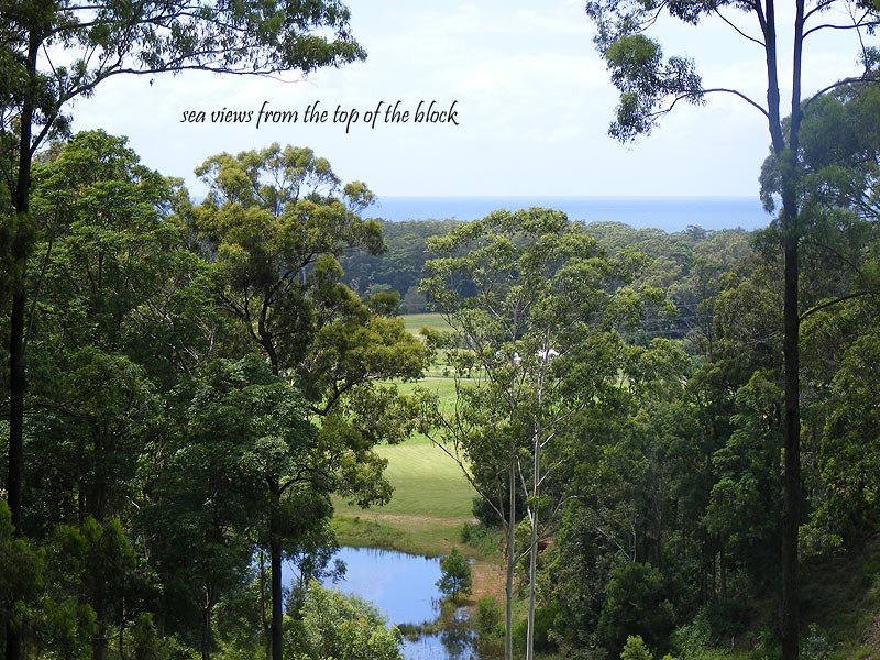 Lot 19 Burkes Lane, Valla NSW 2448