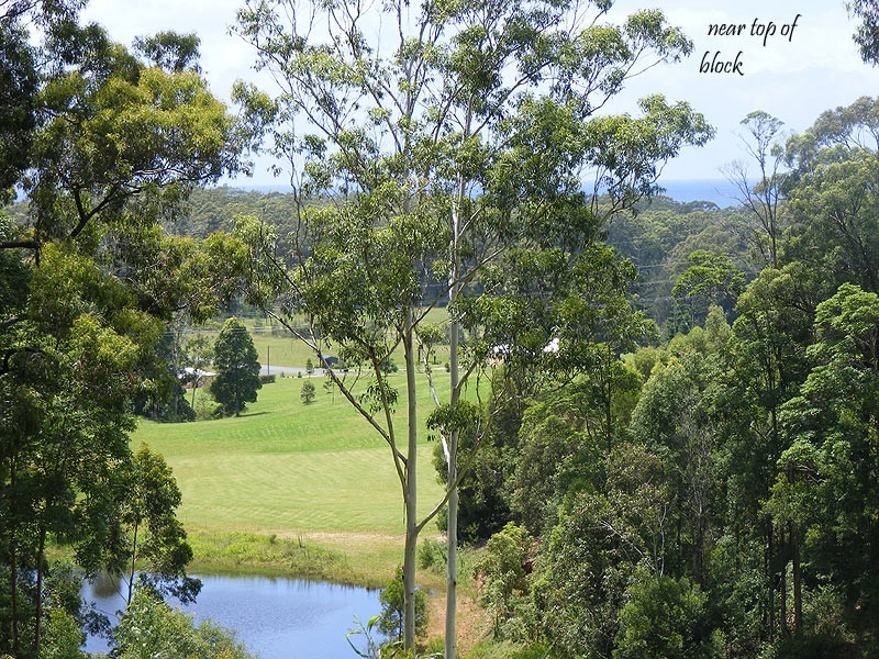 Lot 19 Burkes Lane, Valla NSW 2448