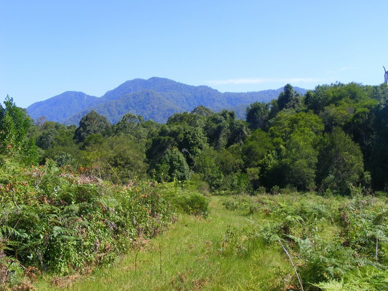 989_2 Valery Road Valery, Bellingen NSW 2454