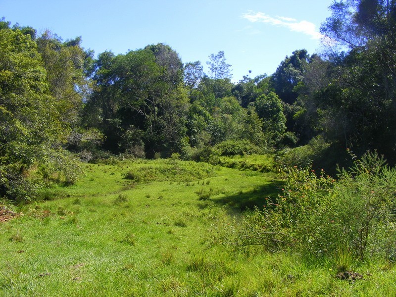 989_2 Valery Road Valery, Bellingen NSW 2454