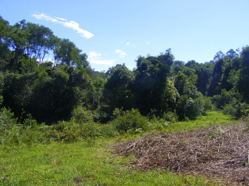 989_2 Valery Road Valery, Bellingen NSW 2454