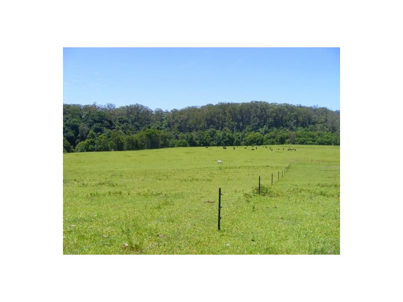 606 Valery Road Valery, Bellingen NSW 2454