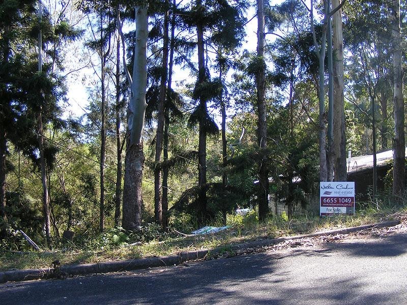 Lyon Street, Bellingen NSW 2454