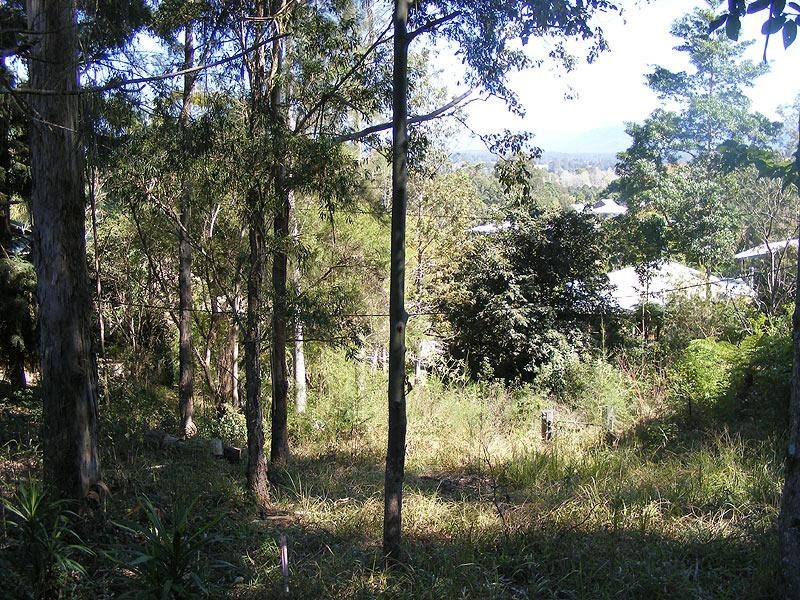 Lyon Street, Bellingen NSW 2454