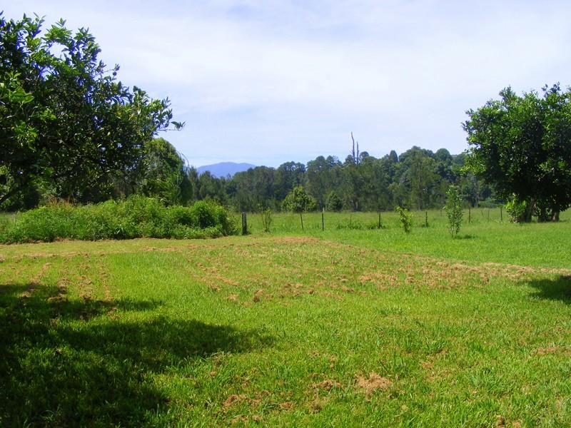 Bellingen NSW 2454