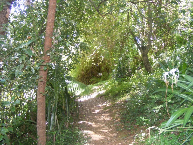 9 Dillon Close, Bellingen NSW 2454