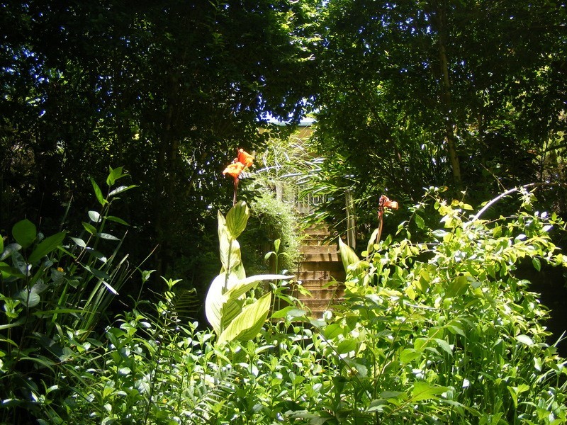 9 Dillon Close, Bellingen NSW 2454