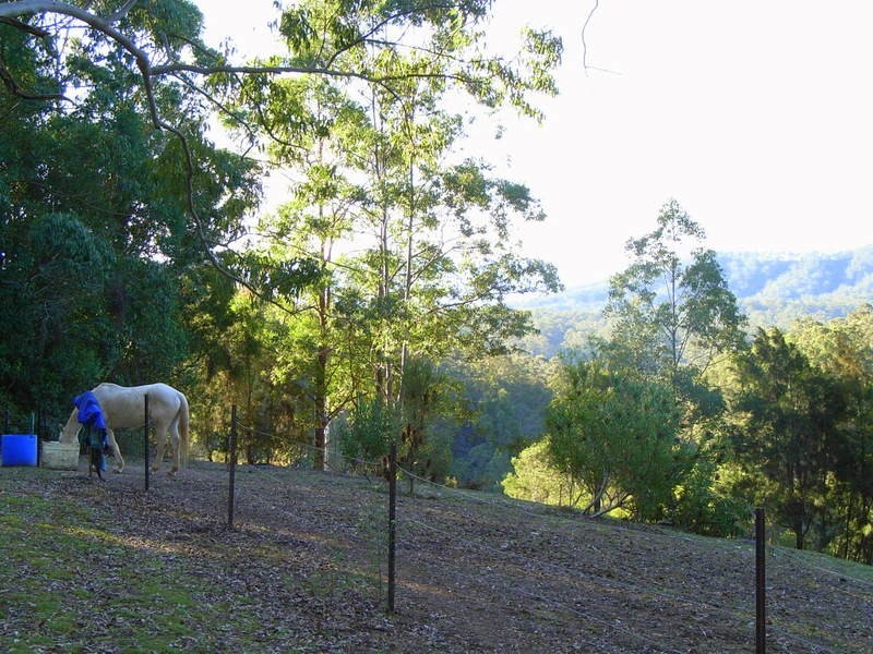 88 Basin Road, Bellingen NSW 2454