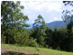 88 Basin Road, Bellingen NSW 2454