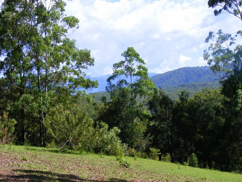 88 Basin Road, Bellingen NSW 2454