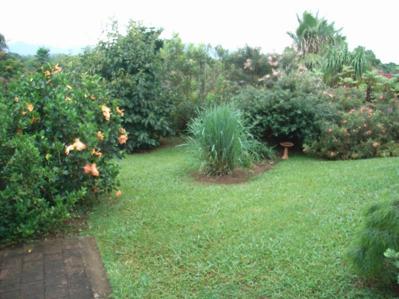 Bellingen NSW 2454