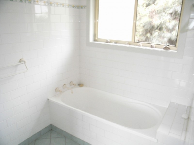 Bellingen NSW 2454