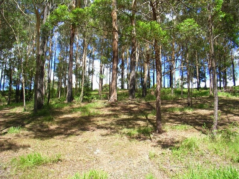 Lot 2 Old Pacific Highway, Raleigh NSW 2454