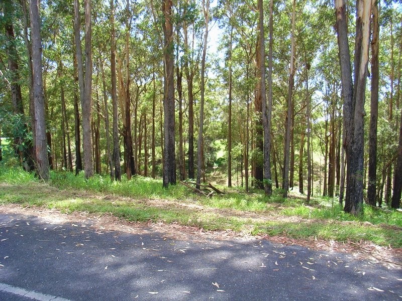 Lot 2 Old Pacific Highway, Raleigh NSW 2454