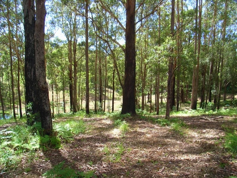 Lot 2 Old Pacific Highway, Raleigh NSW 2454