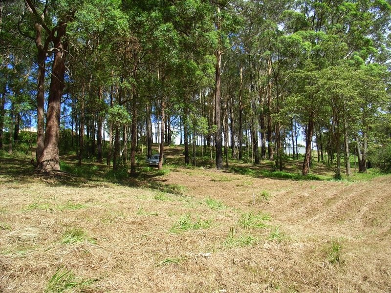 Lot 2 Old Pacific Highway, Raleigh NSW 2454