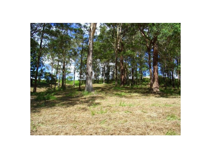 Lot 3 Old Pacific Highway, Raleigh NSW 2454