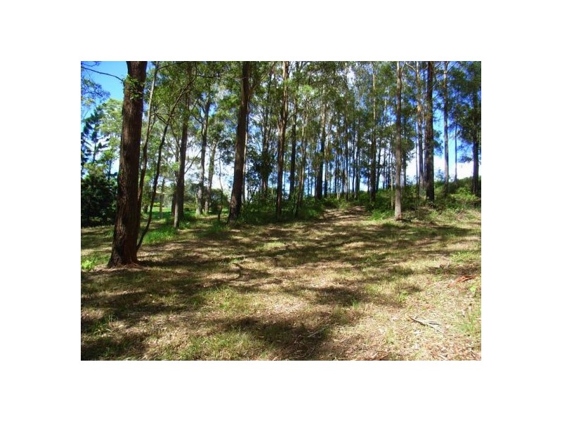 Lot 3 Old Pacific Highway, Raleigh NSW 2454