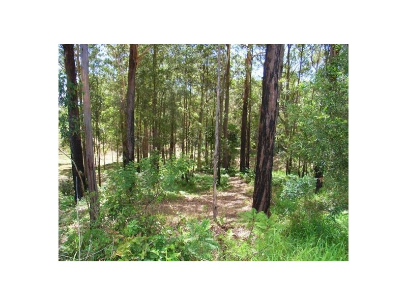 Lot 3 Old Pacific Highway, Raleigh NSW 2454