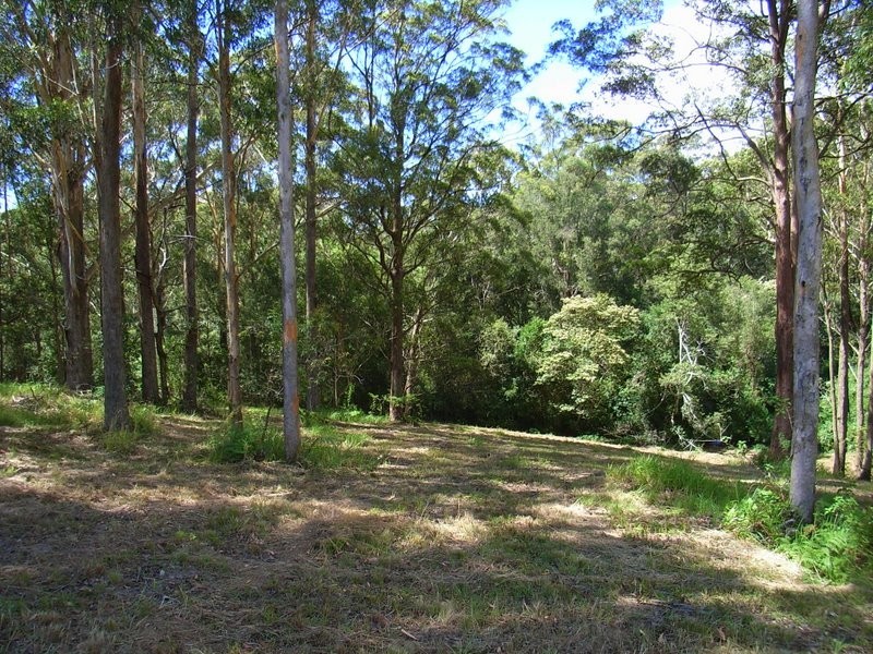 Lot 4 Gordons Road, Raleigh NSW 2454