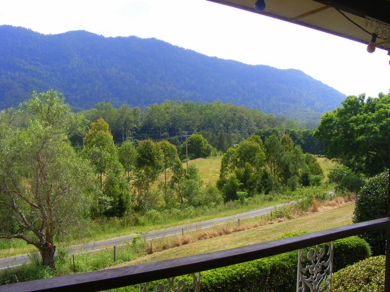 2431 Waterfall Way, Bellingen NSW 2454