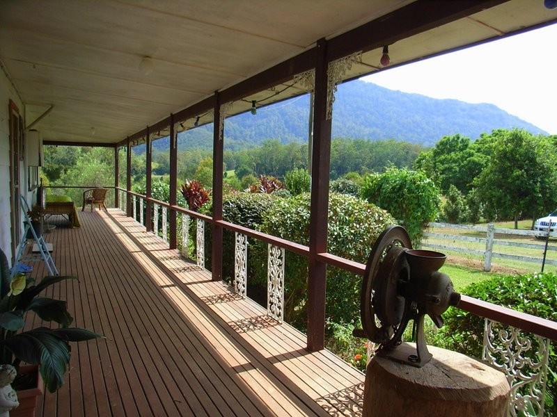 2431 Waterfall Way, Bellingen NSW 2454