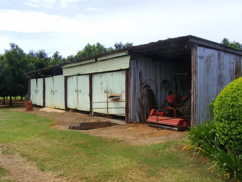 2431 Waterfall Way, Bellingen NSW 2454