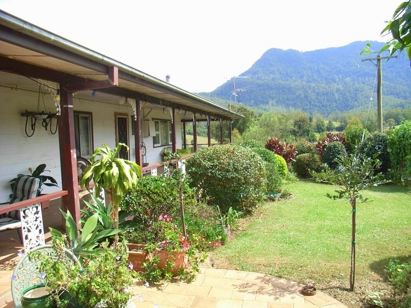 2431 Waterfall Way, Bellingen NSW 2454