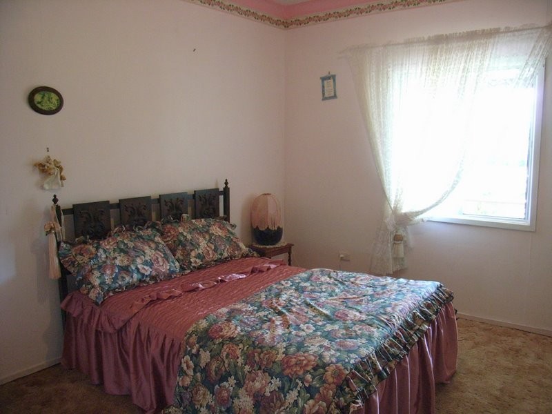 2431 Waterfall Way, Bellingen NSW 2454