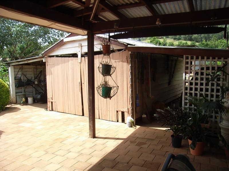 2431 Waterfall Way, Bellingen NSW 2454