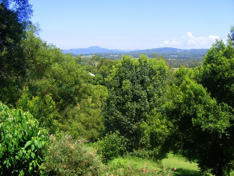 12 Perrys Lane Repton, Bellingen NSW 2454