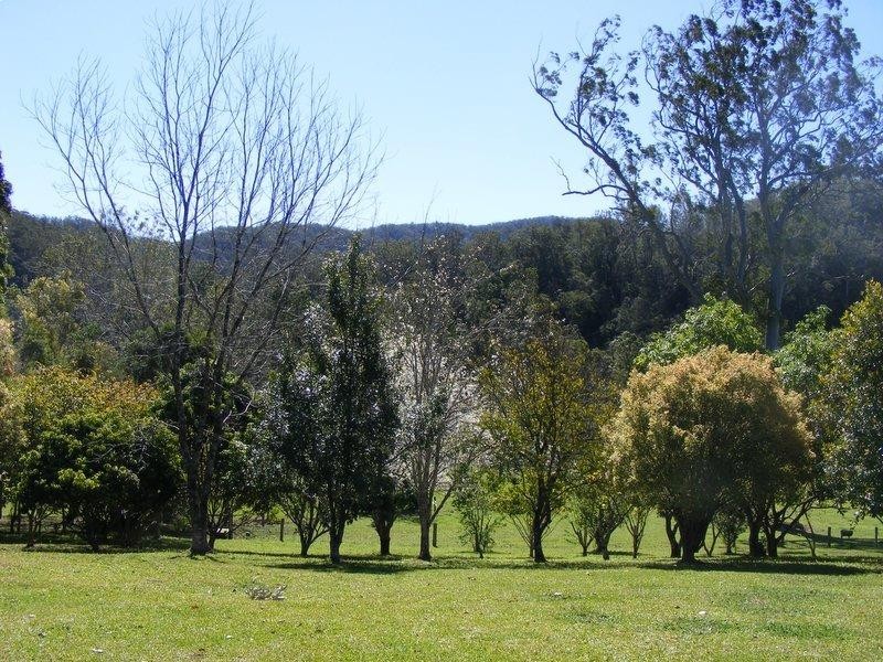 1471 Darkwood Rd, Bellingen NSW 2454