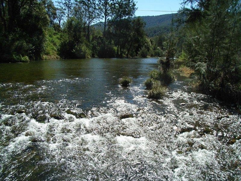 1471 Darkwood Rd, Bellingen NSW 2454