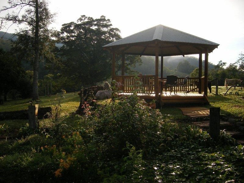 1471 Darkwood Rd, Bellingen NSW 2454