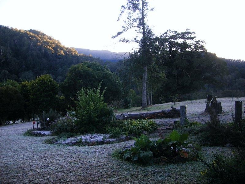 1471 Darkwood Rd, Bellingen NSW 2454