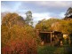 1471 Darkwood Rd, Bellingen NSW 2454