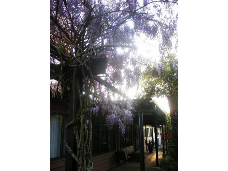 1471 Darkwood Rd, Bellingen NSW 2454