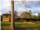 1471 Darkwood Rd, Bellingen NSW 2454