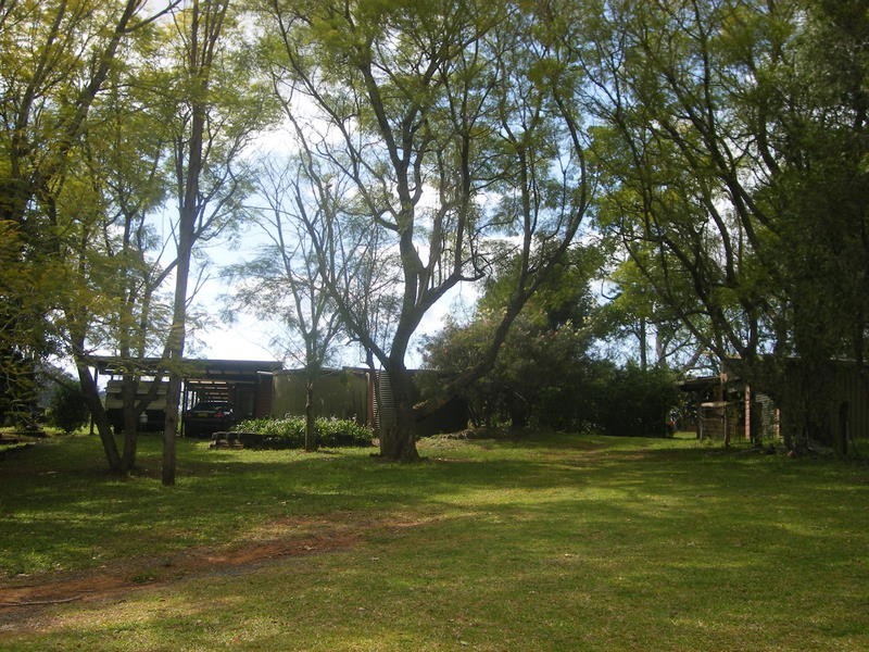 1471 Darkwood Rd, Bellingen NSW 2454