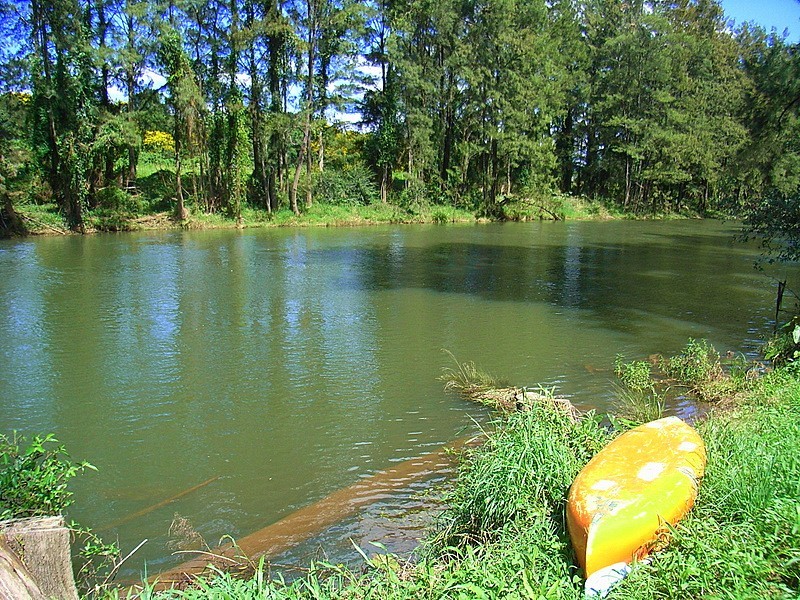 457 Summervilles Road Thora, Bellingen NSW 2454