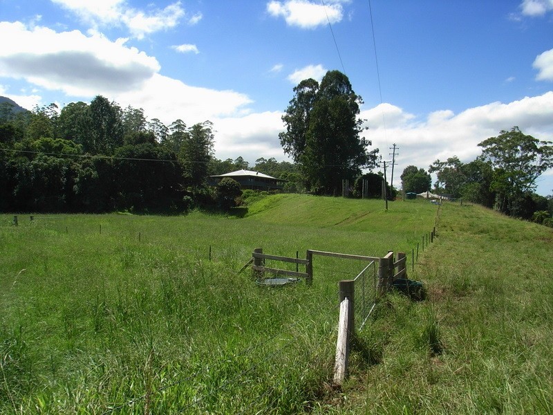 457 Summervilles Road Thora, Bellingen NSW 2454