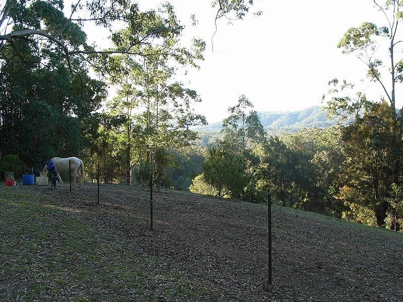 88 Basin Road, Bellingen NSW 2454