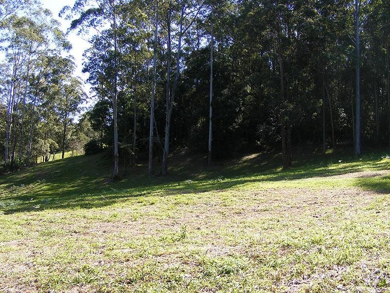 Lot 471 Scotchman Road, Bellingen NSW 2454