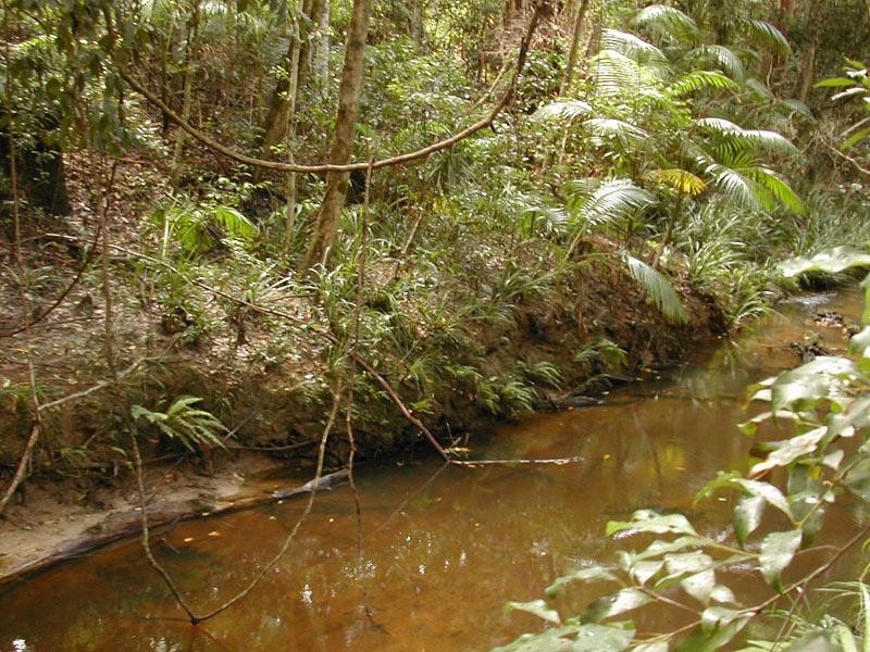 680 Valery Road, Valery NSW 2454