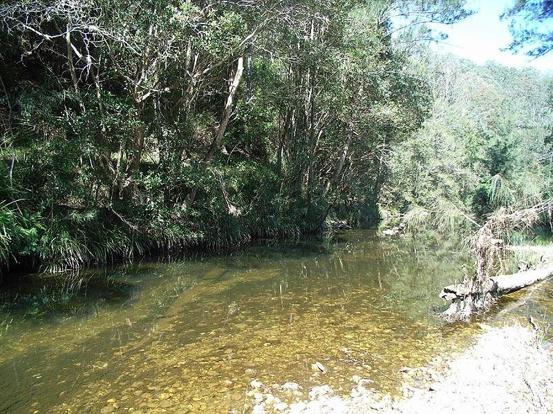 479 Kalang Road, Bellingen NSW 2454