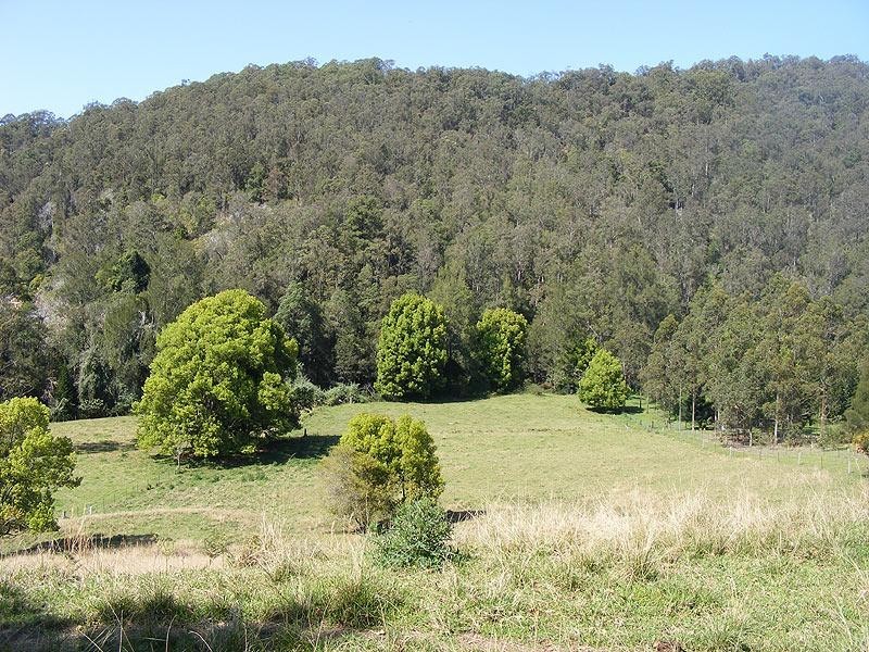 479 Kalang Road, Bellingen NSW 2454